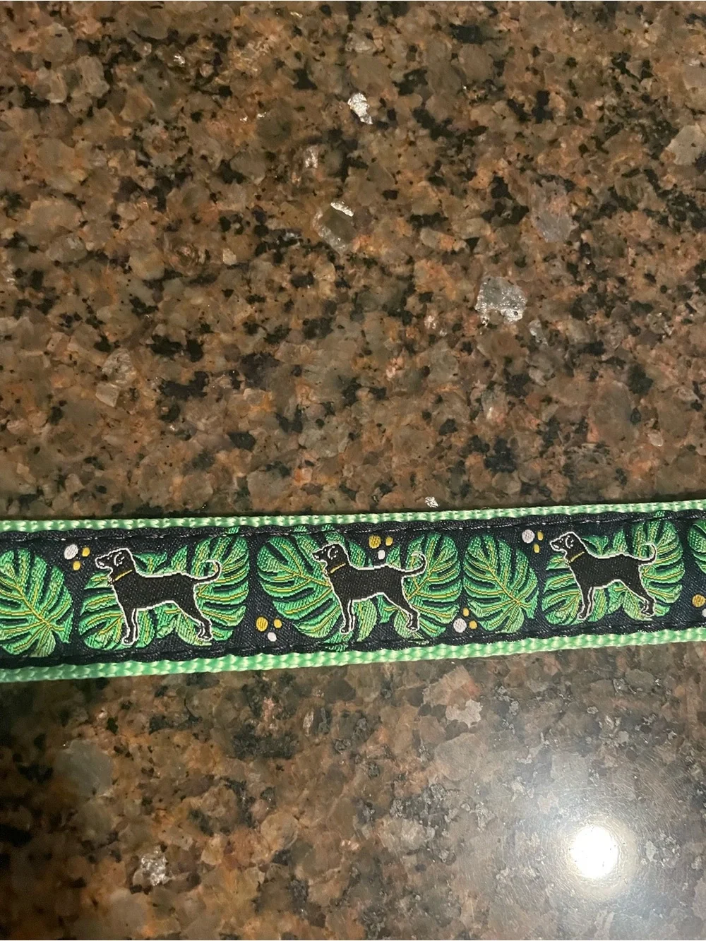 Dog collar